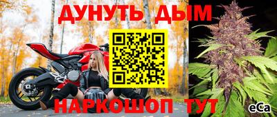 стаф Тверь