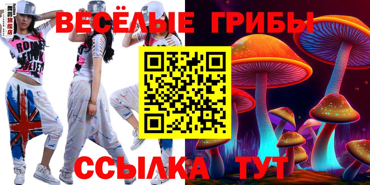 Псилоцибиновые грибы мицелий  Вход с VPN  Галлюциногенные грибы Psilocybe  Богородск 