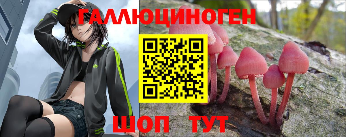 Псилоцибиновые грибы Psilocybe Богородск